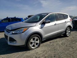 Ford Escape Vehiculos salvage en venta: 2015 Ford Escape SE