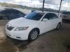 2009 Toyota Camry Hybrid