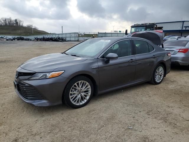 2019 Toyota Camry Hybrid