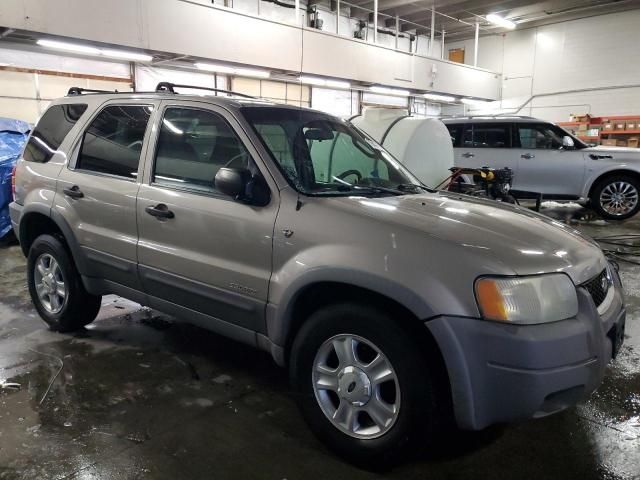 2001 Ford Escape XLT