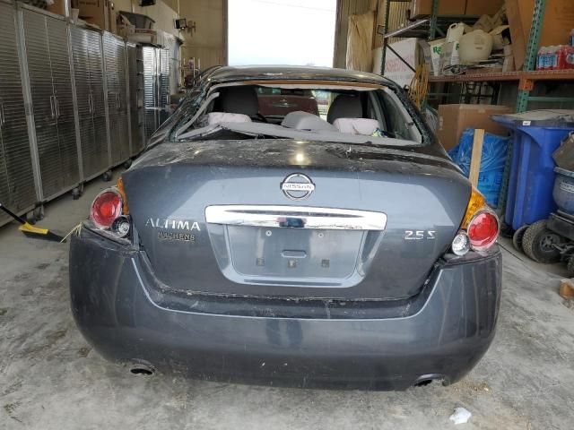 2010 Nissan Altima Base