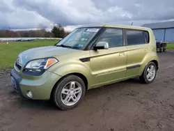 Salvage cars for sale at Columbia Station, OH auction: 2010 KIA Soul +