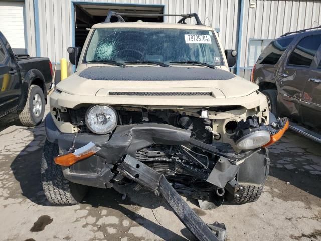 2010 Toyota FJ Cruiser