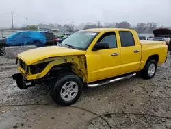 Salvage cars for sale at Louisville, KY auction: 2007 Dodge Dakota Quad SLT