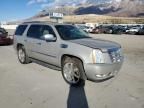 2009 Cadillac Escalade Hybrid