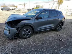 Salvage cars for sale at Franklin, WI auction: 2024 Ford Escape ST Line