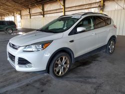 Lots with Bids for sale at auction: 2013 Ford Escape SEL