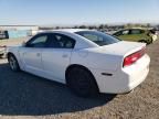 2013 Dodge Charger SE