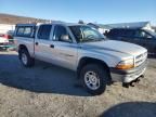 2001 Dodge Dakota Quattro