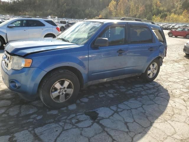 2009 Ford Escape XLT