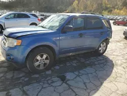 Salvage cars for sale at Hurricane, WV auction: 2009 Ford Escape XLT