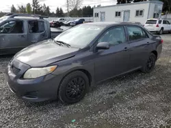 Salvage cars for sale at Graham, WA auction: 2010 Toyota Corolla Base