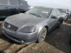 Salvage cars for sale at Brighton, CO auction: 2006 Nissan Altima SE