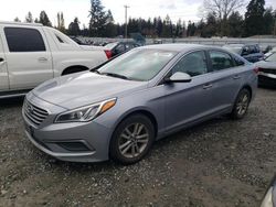 Hyundai salvage cars for sale: 2016 Hyundai Sonata SE