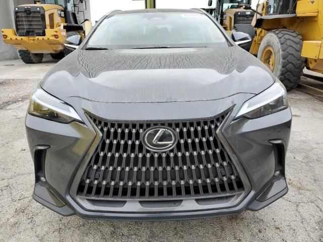 2024 Lexus NX 250 Premium