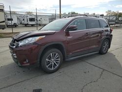 Salvage cars for sale at Sacramento, CA auction: 2019 Toyota Highlander Hybrid