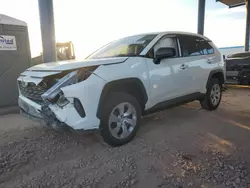 Salvage cars for sale at Phoenix, AZ auction: 2024 Toyota Rav4 LE