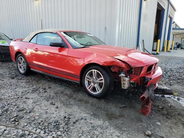 2010 Ford Mustang