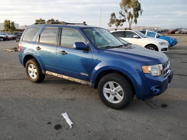 2008 Ford Escape HEV