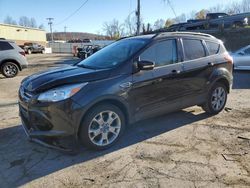 Ford Vehiculos salvage en venta: 2013 Ford Escape SEL