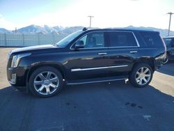 Salvage cars for sale at Magna, UT auction: 2019 Cadillac Escalade Luxury