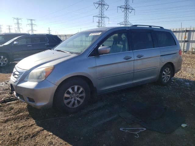 2008 Honda Odyssey EXL