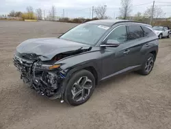 Hyundai Tucson ult salvage cars for sale: 2024 Hyundai Tucson Ultimate