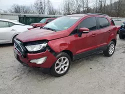 Salvage cars for sale at Hurricane, WV auction: 2019 Ford Ecosport SE