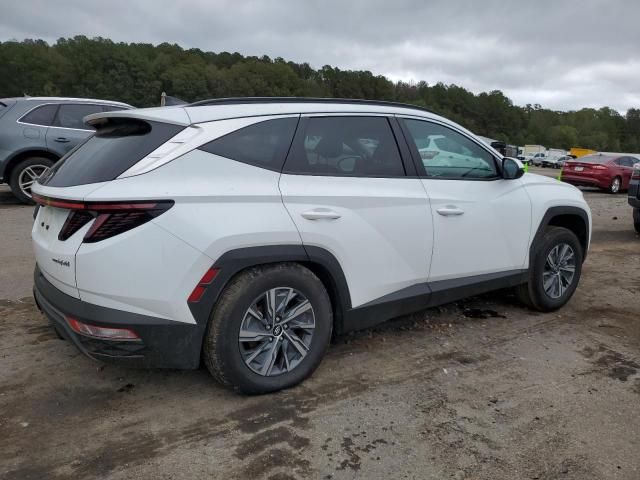 2023 Hyundai Tucson Blue