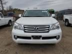 2013 Lexus GX 460