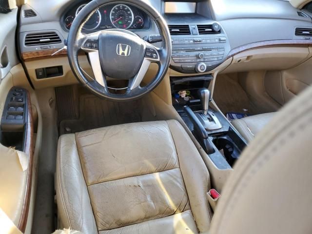 2008 Honda Accord EXL