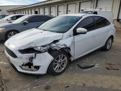 Ford Vehiculos salvage en venta: 2016 Ford Focus SE