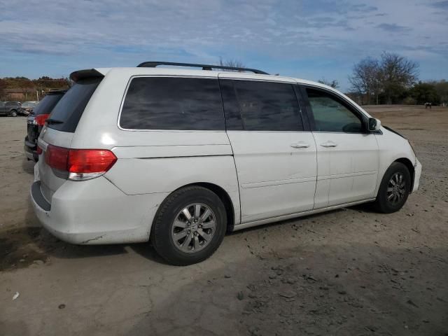 2010 Honda Odyssey EXL