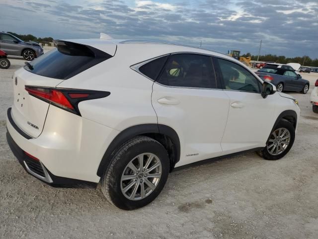 2019 Lexus NX 300H