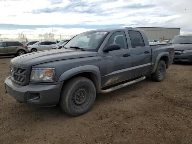 2011 Dodge Dakota SLT