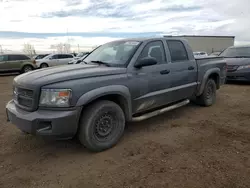 Lotes con ofertas a la venta en subasta: 2011 Dodge Dakota SLT