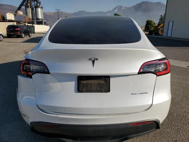 2020 Tesla Model Y