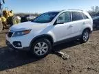 2011 KIA Sorento Base