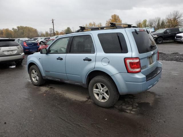 2008 Ford Escape HEV