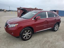 Salvage cars for sale at Arcadia, FL auction: 2010 Lexus RX 350