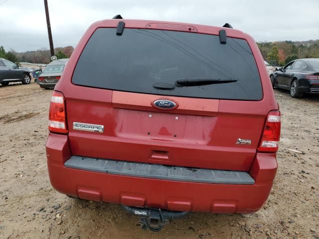 2011 Ford Escape XLT