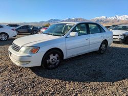 Toyota salvage cars for sale: 2003 Toyota Avalon XL