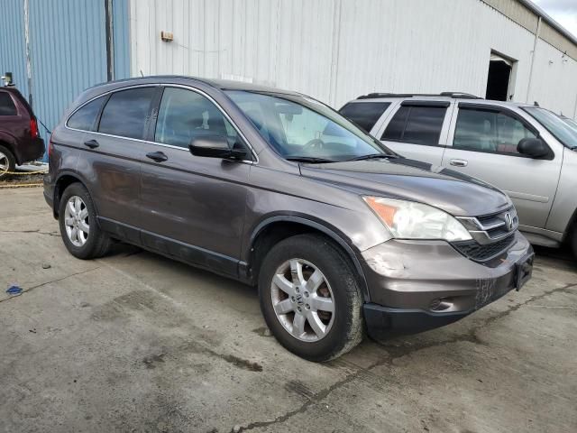 2011 Honda CR-V SE