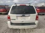 2010 Ford Escape Limited