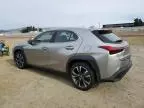 2021 Lexus UX 250H