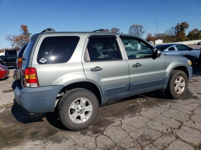 2006 Ford Escape XLT