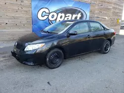 Lots with Bids for sale at auction: 2009 Toyota Corolla Base