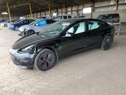 Salvage cars for sale at Phoenix, AZ auction: 2023 Tesla Model 3