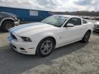 2013 Ford Mustang