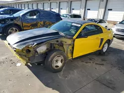 Salvage cars for sale at Louisville, KY auction: 2004 Ford Mustang